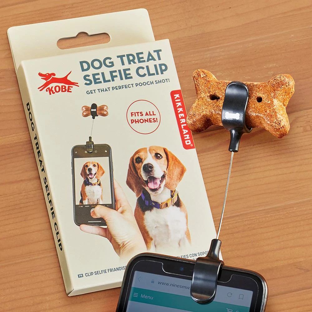 BreadofL1FE's tweet photo. @BiscuitRockDog You did fantastic.🤳
 Ask your moms to get u a #selfieclip for 📸 of doggies 🐕 at bark park so u can be like mama &amp; her friends   
       #RockOn😘         #BiscuitRockDog https://t.co/7V7nabLwR0