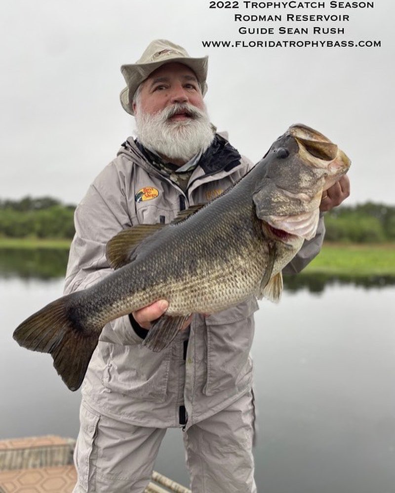 Florida Trophy Bass with Capt. Sean Rush on X: Rodman Reservoir