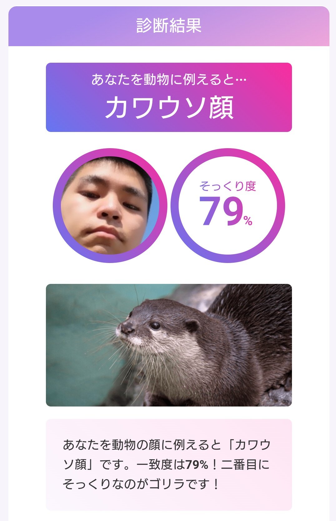 動物顔ai診断 Twitter Search Twitter