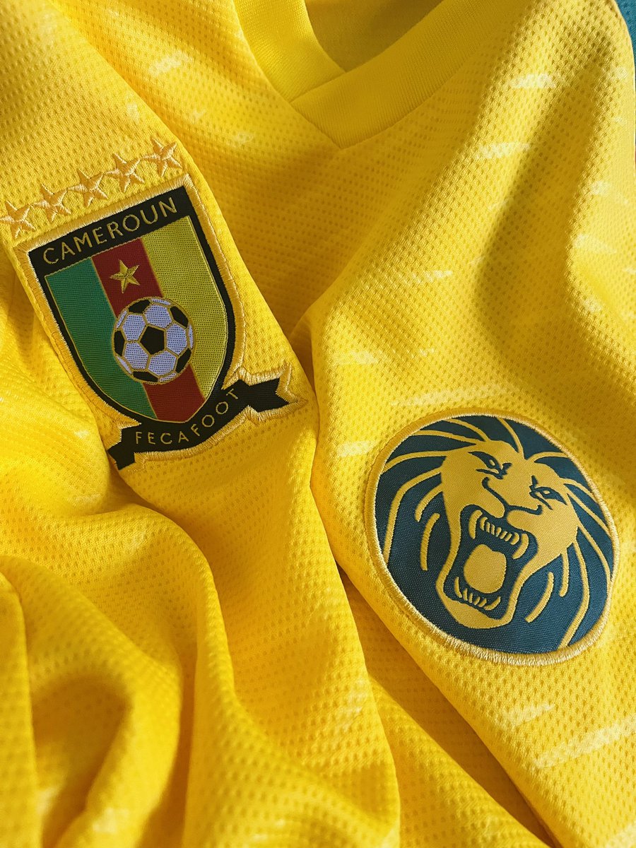 Let’s roar together #quatar2022 #LionsIndomptables