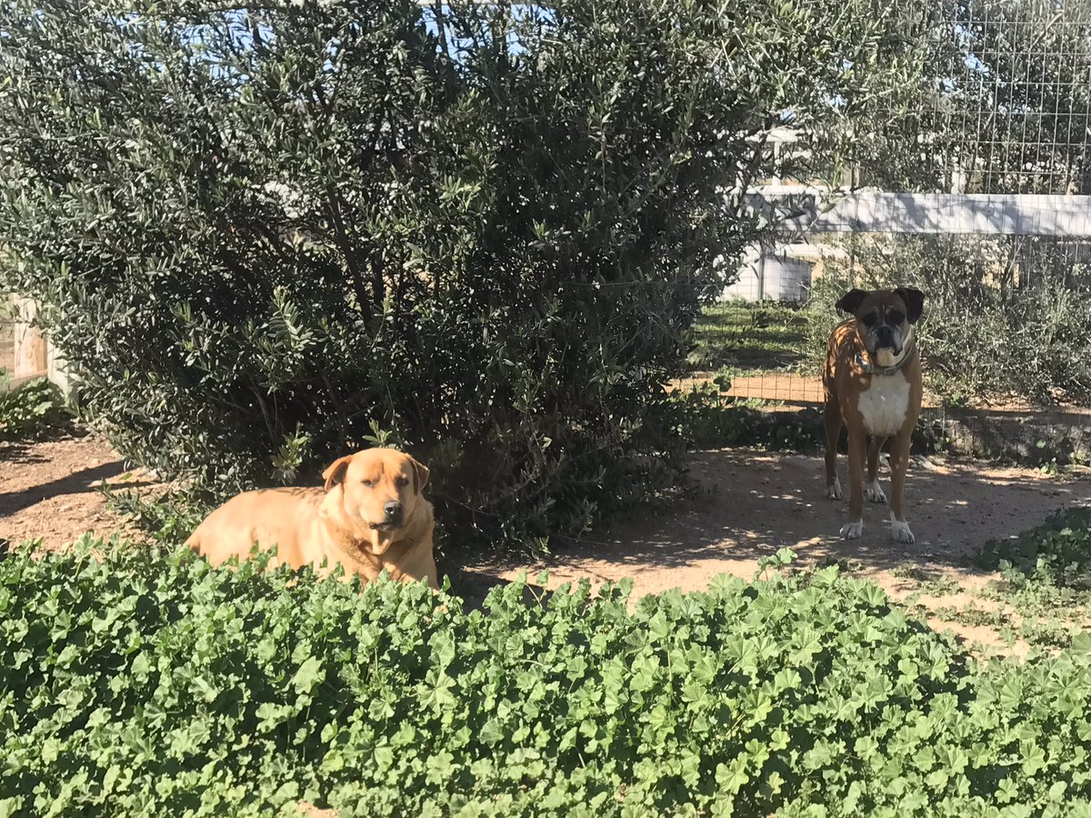 JJ Franey, PhD tweet media