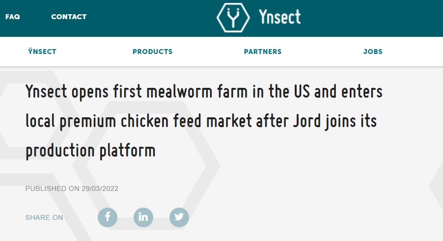 BringsTheRing's tweet photo. Good day to be a bug. 

@Ynsect @Bugible @ChapulFarms @NebraskaCombine @NACIA_org @ovipost @BetaHatchFeed @Innova_feed @ADM_Decatur @aknewts 

#MicroLivestock #Insects #BugTech #Agriculture #AlternativeProteins #Poultry #AquaFeed #EatMoarBugz 

https://t.co/XkUbwQkk1j https://t.co/8lxmt9L3Hg