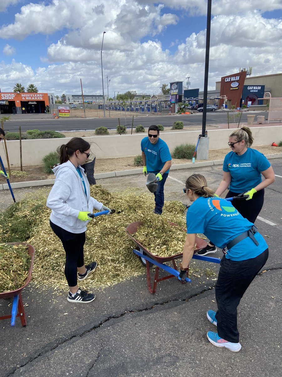 APS_Bravo's tweet image. Another great @apsfyi community tree program planting event today. Thanks to partnership &amp;amp; support of @TreesMatterAZ, @OsbornSchools, board member @AguilarYlenia, @apsfyi CEO @jeffguldner &amp;amp; volunteers, we planted 40 trees at Longview Elementary. #Community #HeatRelief #TreeEquity
