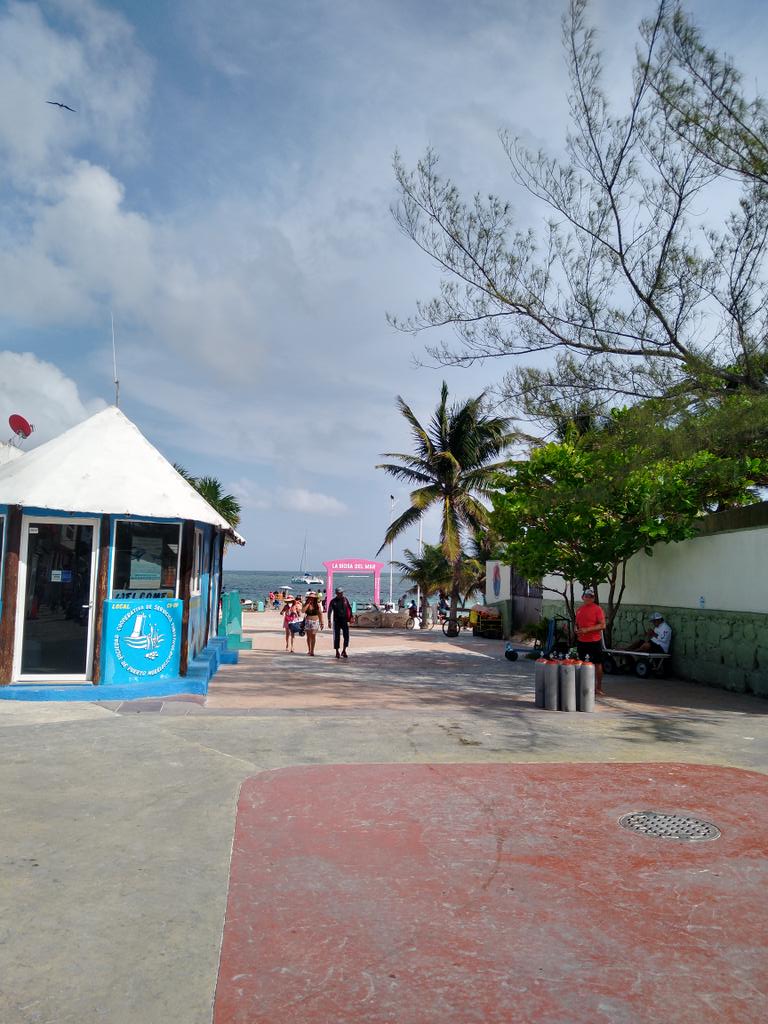 #Turismo #BarreraArrecifal un atractivo del #XIMunicipio #PuertoMprelos su ordenamiento territorial es base de su desarrollo sustentable coordinado con los otros 2 órdenes de gobierno   <a href="/Fridasofia_27/">Frida Sofía</a> <a href="/saori_rosel/">Saori Rosel</a> <a href="/O_MUY09/">Omar Muy</a> <a href="/Csarigc/">César</a> <a href="/ManuelUc11/">Manuel Uc</a> <a href="/YDominguez08/">Yuridia Dominguez</a> <a href="/HuchinAldana10/">lizeth andrea huchin aldana</a>