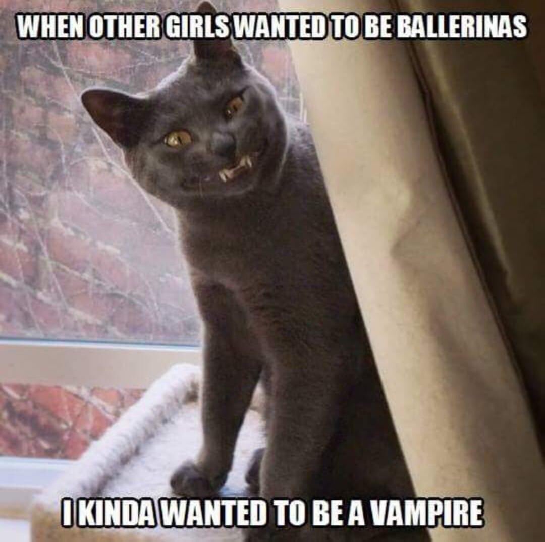 ThePhilosopurr's tweet photo. Vampurr… I can to eat your nip… pss psss pssss https://t.co/CrVFid99EZ