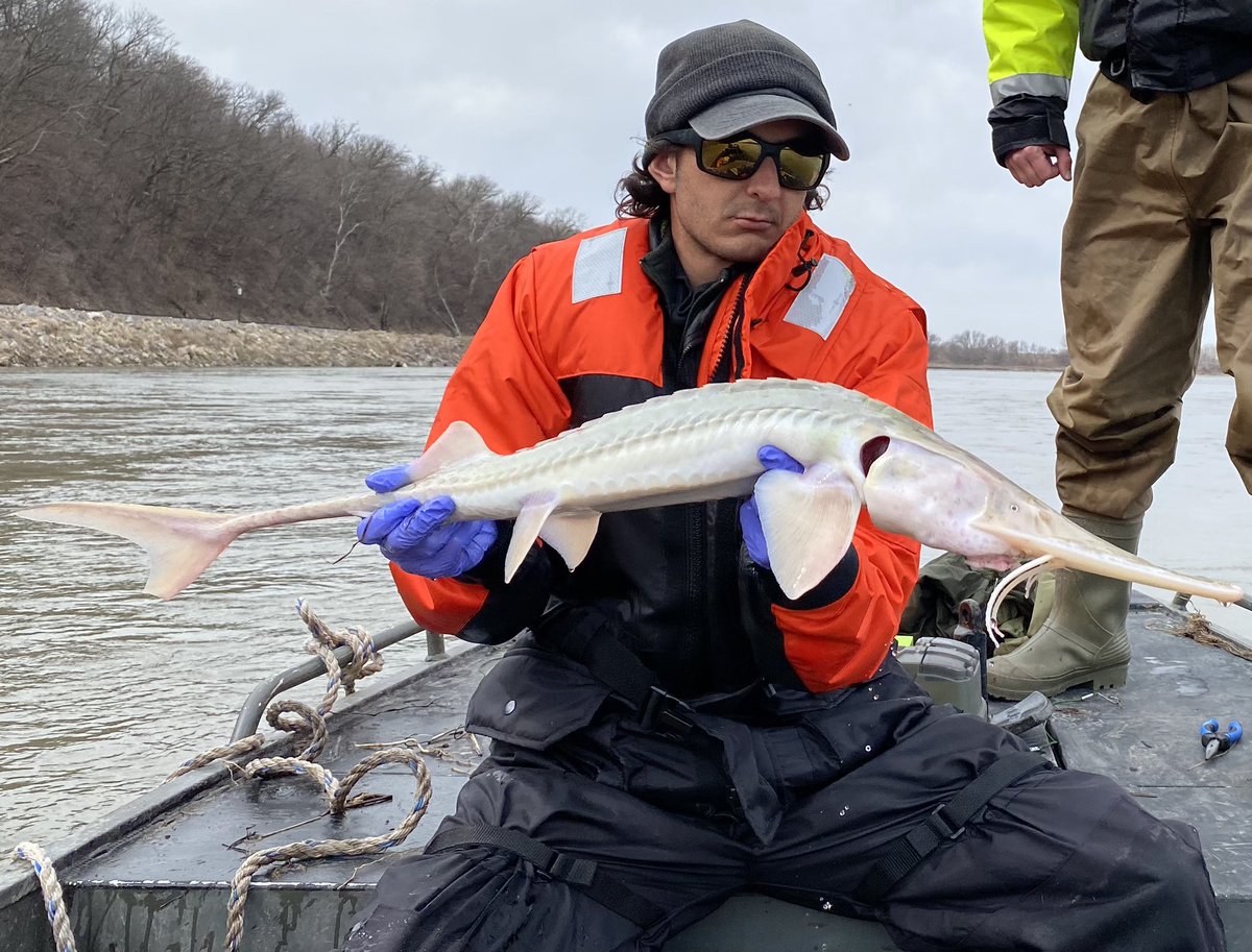 Chris Pullano tweet media