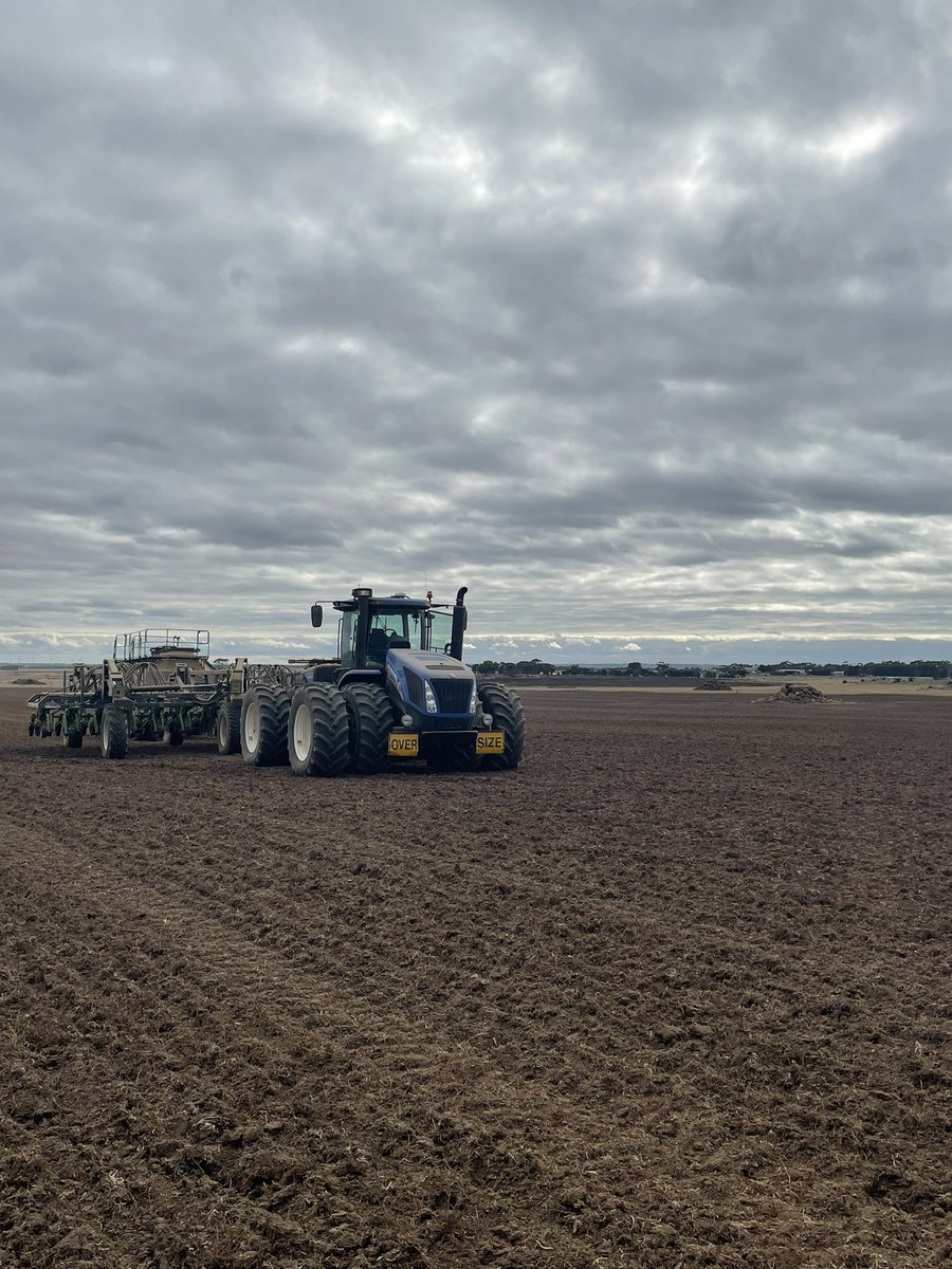 Brayden Warren tweet media