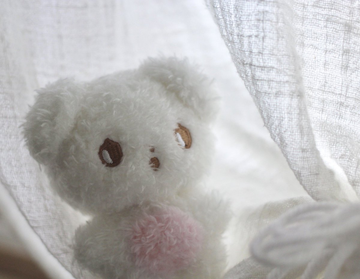 차차 19개 남았습니다 ˘▾˘
반곱슬 귀염둥이 말티쥬 데려가세요🌿

#서른아홉 #정찬영 #전미도 #10cm인형