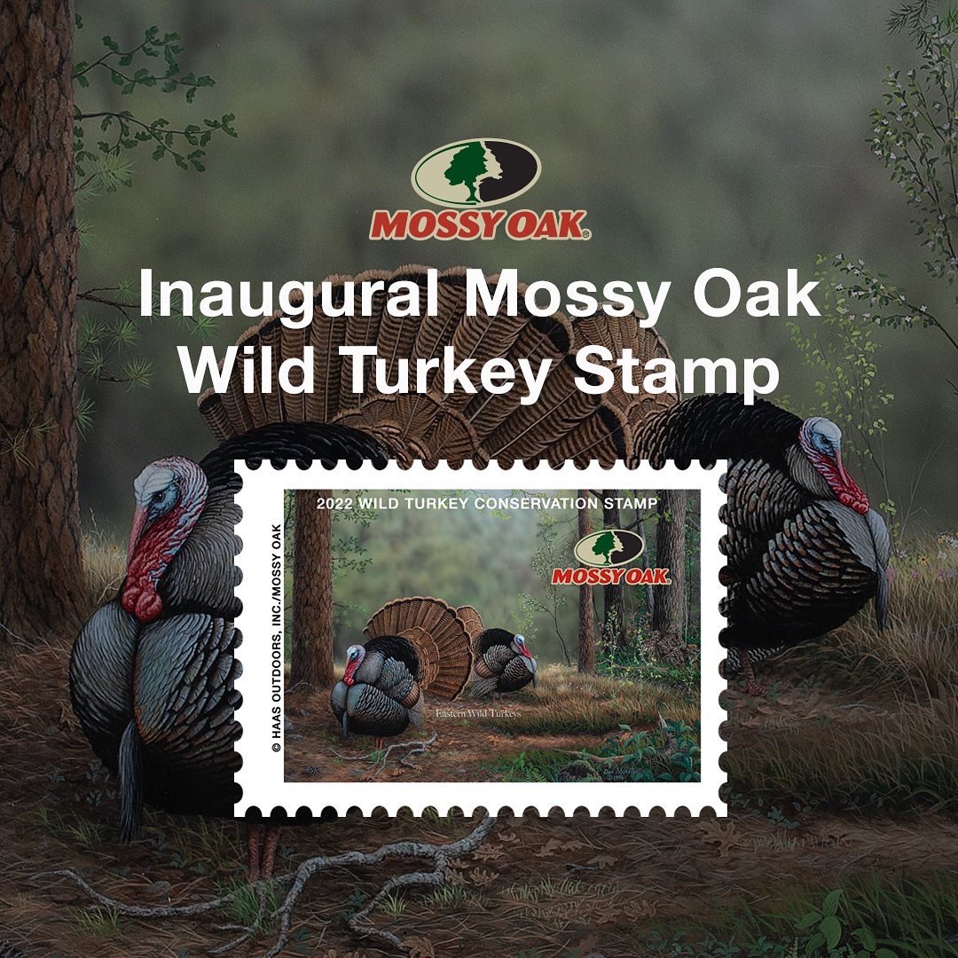 MossyOak's tweet photo. Wild turkeys need all the help they can get. And we’re proud to announce our inaugural Wild Turkey Conservation Stamp.

https://t.co/wEeWrExpBZ https://t.co/tk0yjSZ2E5