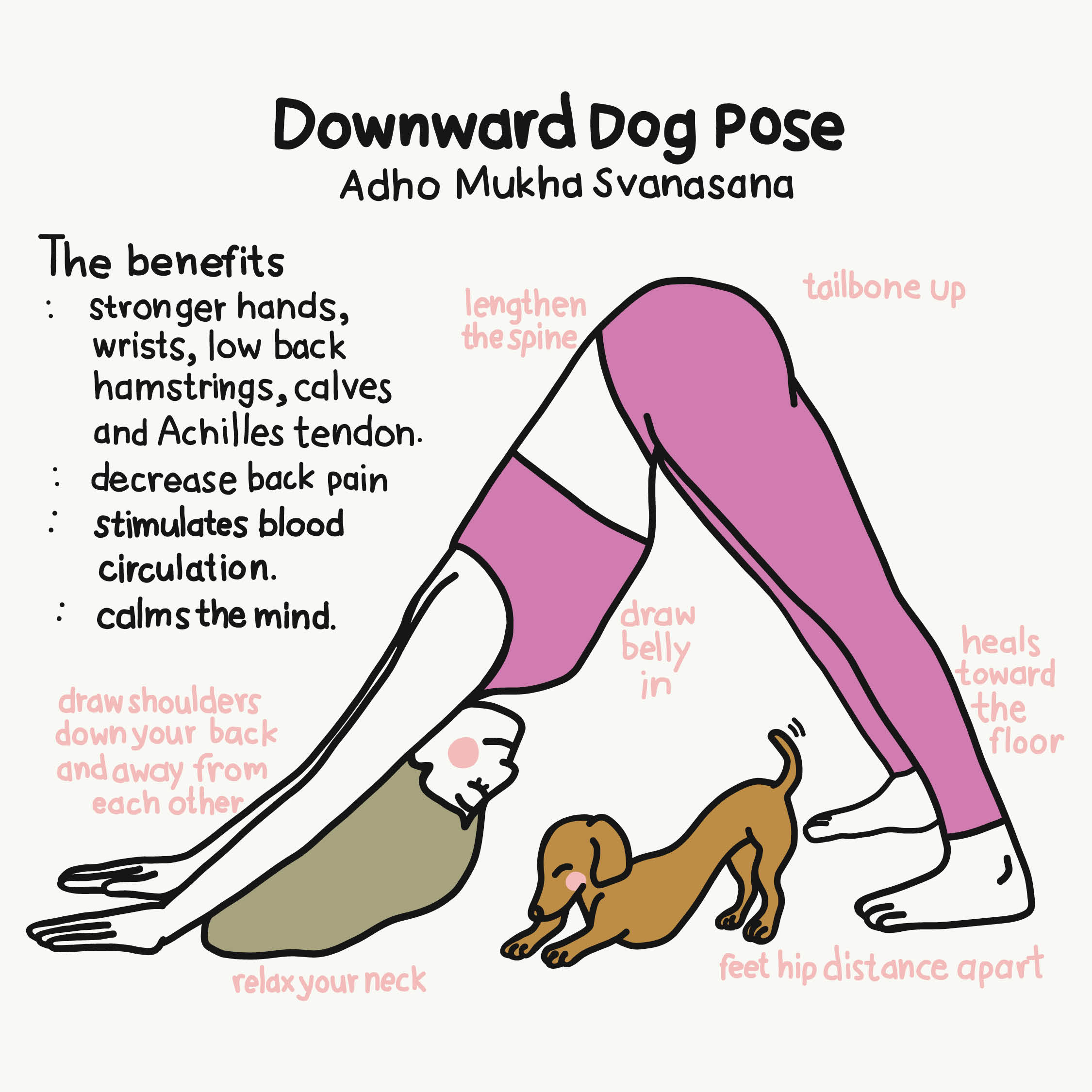 What Are The Benefits Of Upward Facing Dog