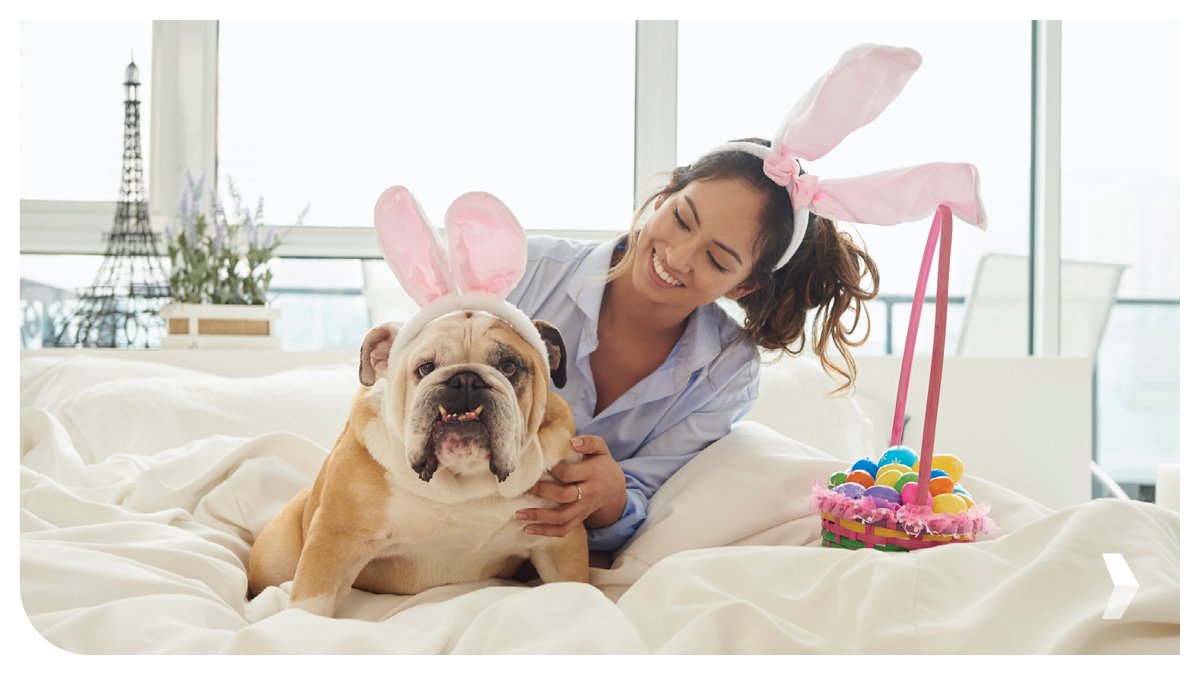 PacResMortgage's tweet photo. How do you protect against springtime pet allergies? Yes, you read that right…🍯.
🦴 Wash bedding and toys
💊 Use flea and tick preventatives
🐝 Feed your dog locally-sourced honey
More #petsafety and #springallergy tips at https://t.co/l4AqvJ0Yvn https://t.co/SBmDhuk1xw