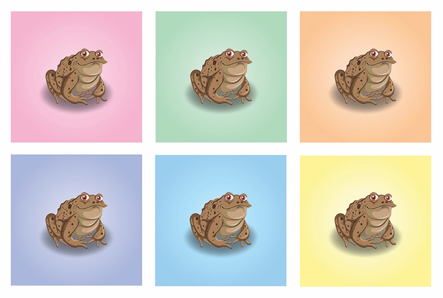 the psychedelic toad tweet media
