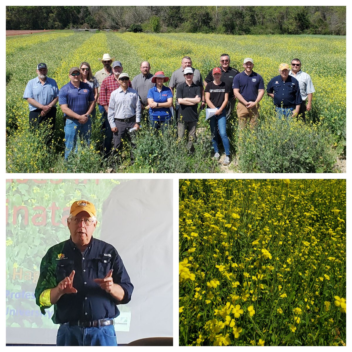 UFIFASEscambiaCo tweet media