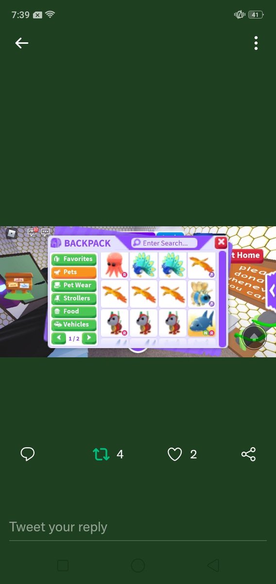 Apititee's tweet photo. Trading adopt me for mm2
We can use a mm/me if you want!
#adoptmetrading #adoptmetrades #adoptmetrade #AMTrading #adoptme #adoptable #adoptmegiveaway #forex #genshintrades #royalehigh #royalehightrade https://t.co/YLBRbuoB01