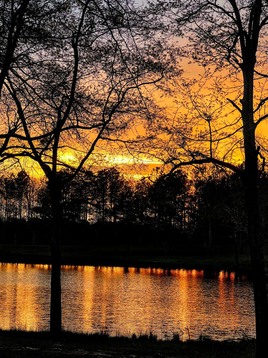 You are invited to come on down for a drink 🥰🥰