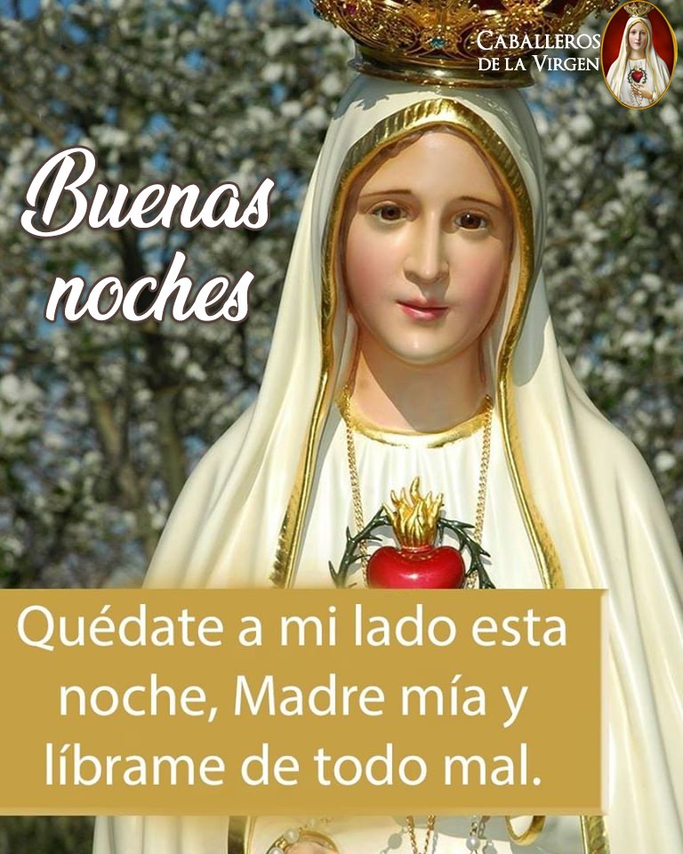 Cab_Virgen's tweet photo. ¡Buenas noches!
Aquí estoy, Madre mía, listo para seguir luchando, a pesar de las dificultades de este día, con la certeza de que tú siempre estás conmigo. Amén. https://t.co/NN9eBENQAe