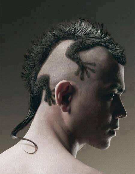DominikoVd's tweet photo. @NimuVt Puedes poner una iguana real plis t amo https://t.co/IkLClcJOiC