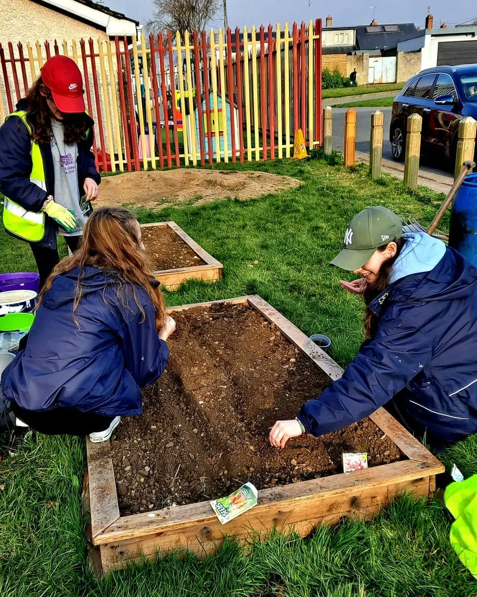 HowthTidyTowns's tweet photo. Another brilliant #TYTuesday was had 🙌💪Massively grateful to our TYs for adding to our #communitygarden We planted 6 trees(3 pollinator crab apples & 3 cherries)We planted lettuce, radishes, chives, beetroot, rhubarb, red & white onions, potatoes & rosemary #community #howth 💚 https://t.co/DOyF0hsB6x