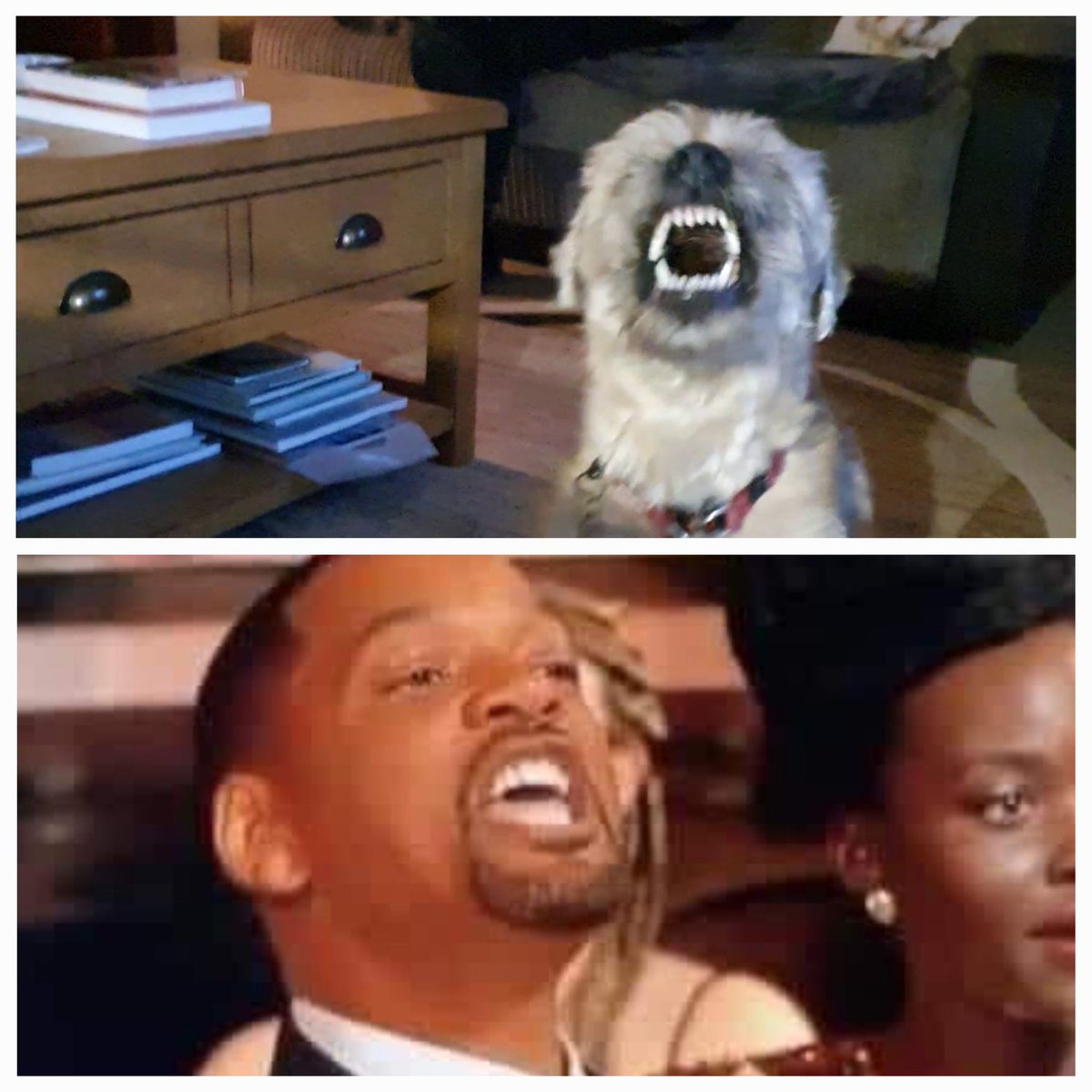 Julie Townson Artist/Hare and Boathouse Creations tweet media