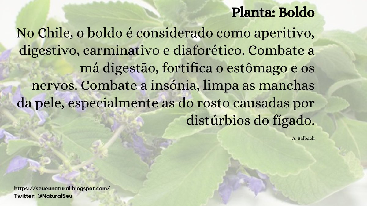 #natural #saudável #saudavel #saude
#saúde #metabolismo #ser natural
#naturalidade #contato com a natureza
#contato natureza