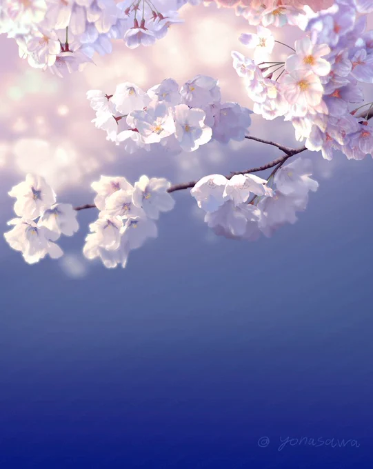 桜の季節なので描いた桜を。 