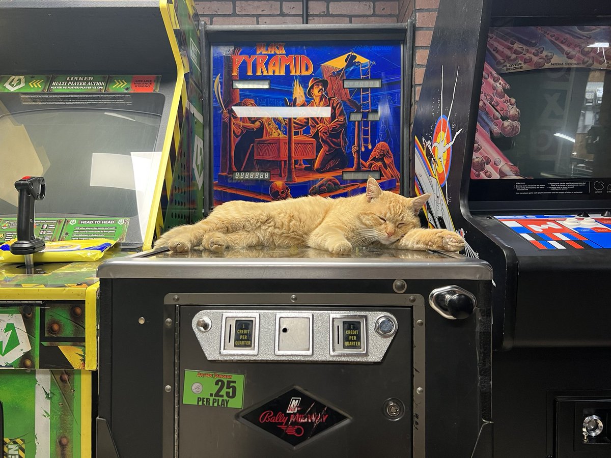 PumRibby's tweet photo. Our neighborhood cat loves pinball. At some point, I guess we should name him. I’ve just been calling him Meow Meow. I don’t know what it means in English, but he at least answers to it. #CatsOnPins #pinball https://t.co/HtoSpwmBz8