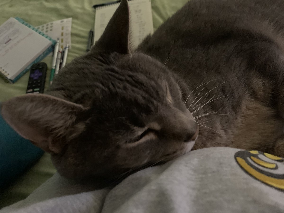 ravenleaf71's tweet photo. @bluebuffalo Zzzz https://t.co/epCGrY160K