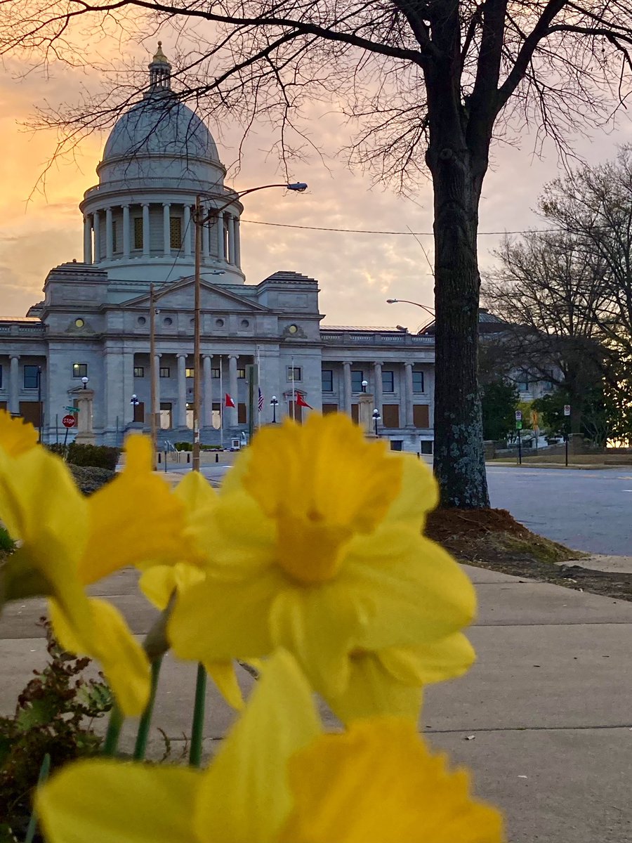 Love this city 🥰#littlerock #downtown #capitolbuilding #arwx #ARStormTeam