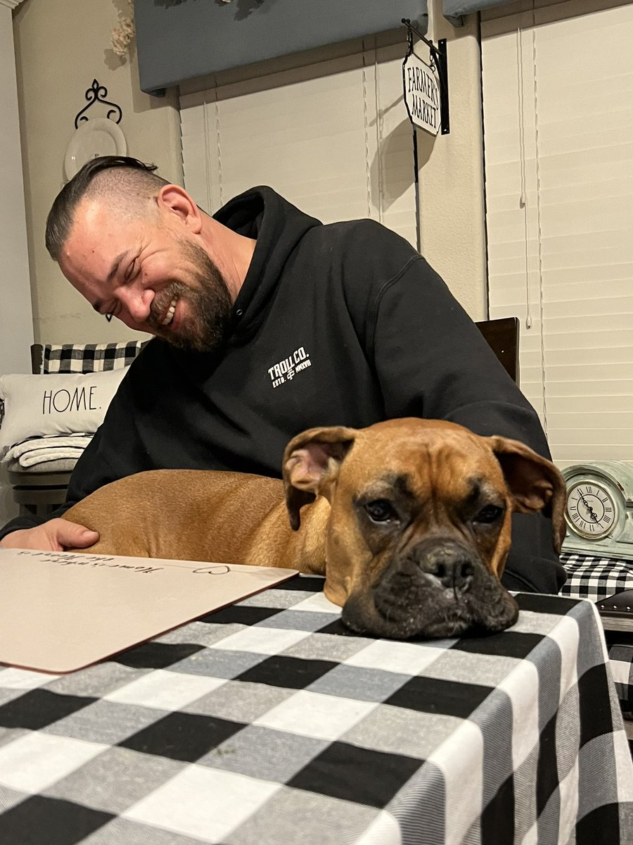 KarynMarinella's tweet photo. This one felt the need to climb on her dads lap and fall asleep on the kitchen table, it’s never a dull moment with a boxer in the house #LifeWithSaylor #boxerproblems https://t.co/XgNwxRPwBL