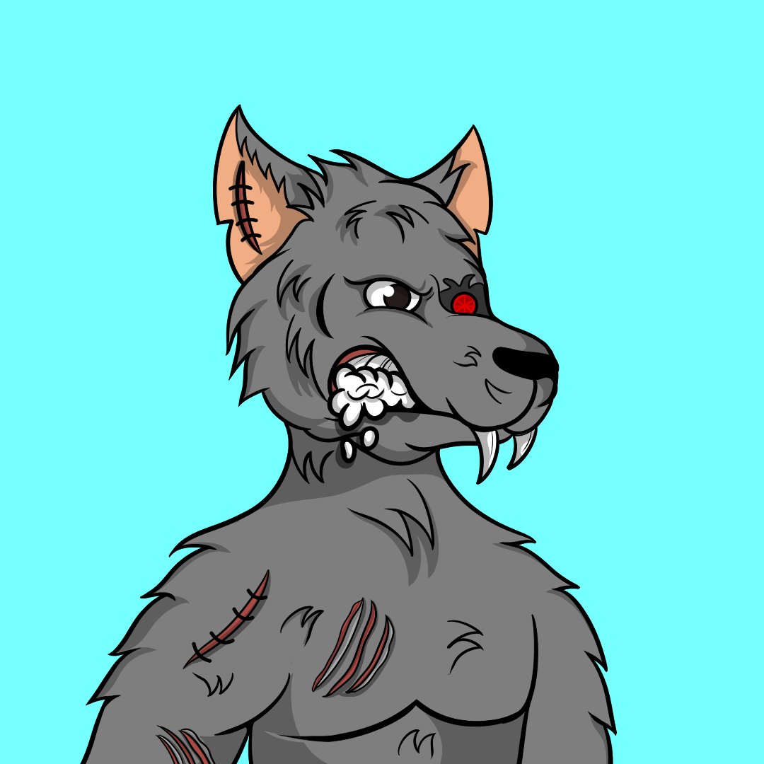 The Cyborg Wolves ⚔️ tweet media