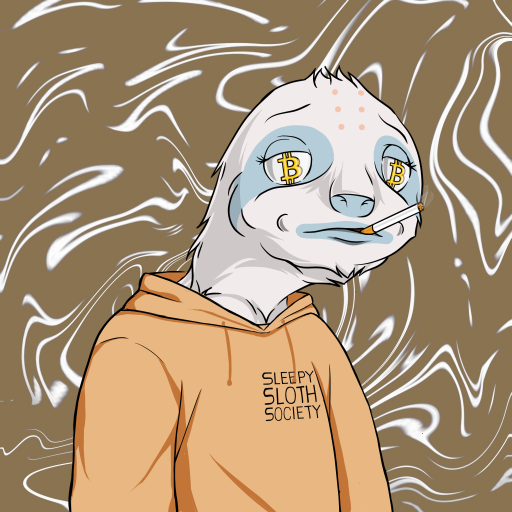 chxllchuck's tweet photo. Quick @sleepyslothsc drop 🦥💤🔥🔥🔥 #Sleepyfam https://t.co/4PsZXW8AKR