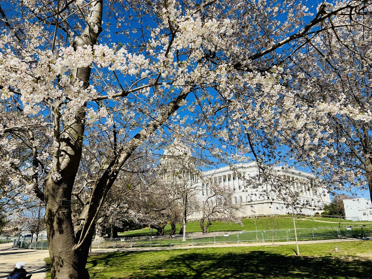 osucsw's tweet photo. It was a picture perfect start to our first day in Washington! Tomorrow, legislative visits will make for a busy day on the Hill. #CSWinDC https://t.co/rVQyvYGt6M