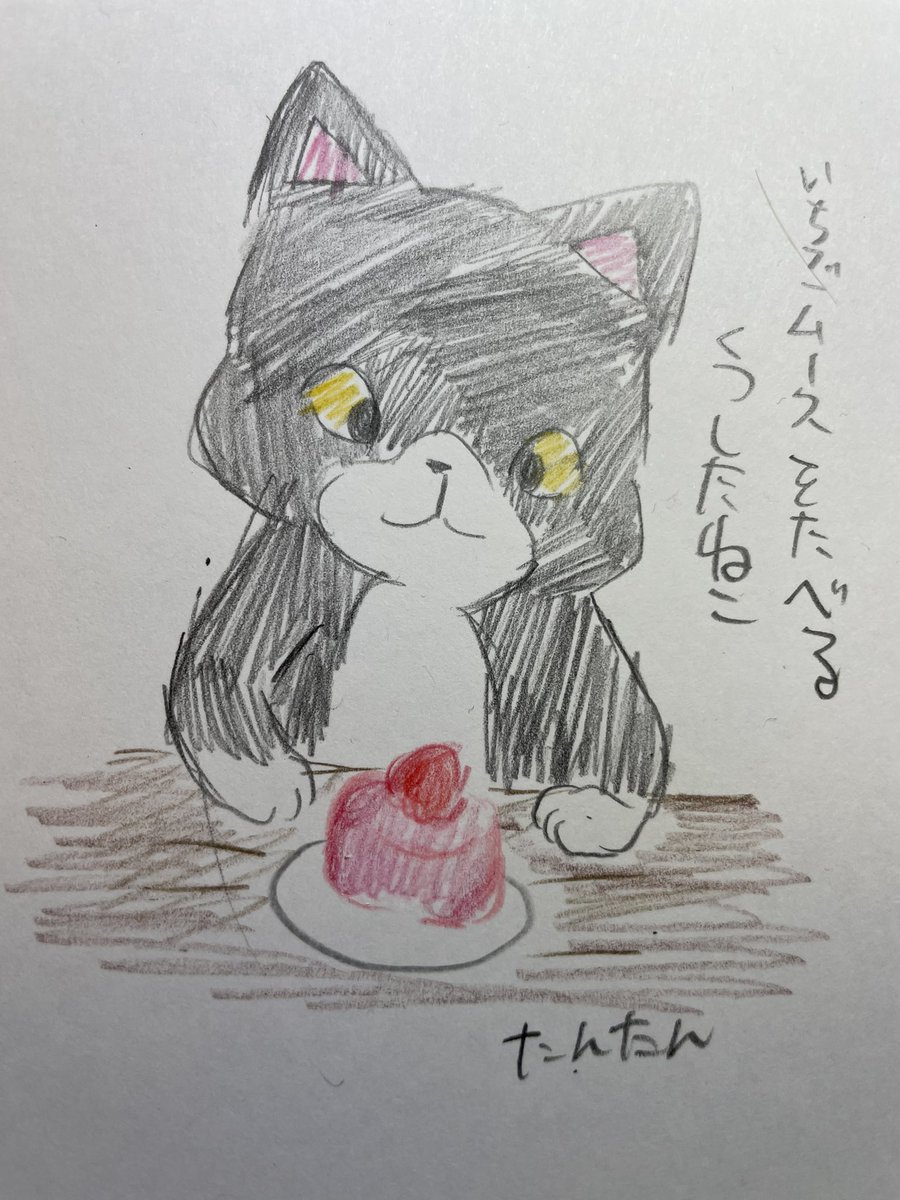 いちごムースを食べるくつしたねこ

#イラスト #猫 