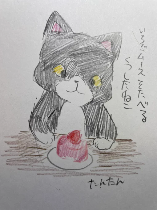 いちごムースを食べるくつしたねこ

#イラスト #猫 
