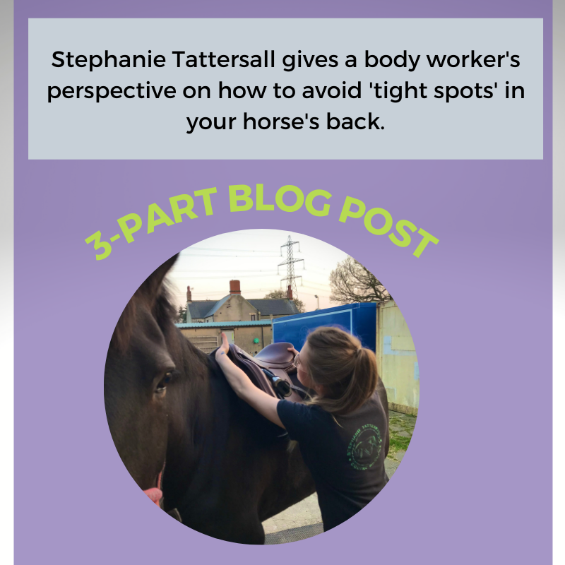 Equitopiacenter's tweet photo. How tight should your girth be? 🐎

Check out our latest blog and read a bodyworker's perspective on common underlying causes of tension 👉🏻https://t.co/IV9l5EwjPJ

#girthtightening #horsemusculature #poorsaddlefit #knowingyourhorse #equestrian #equestriantraining #girthtightness https://t.co/eUNkePdFFt
