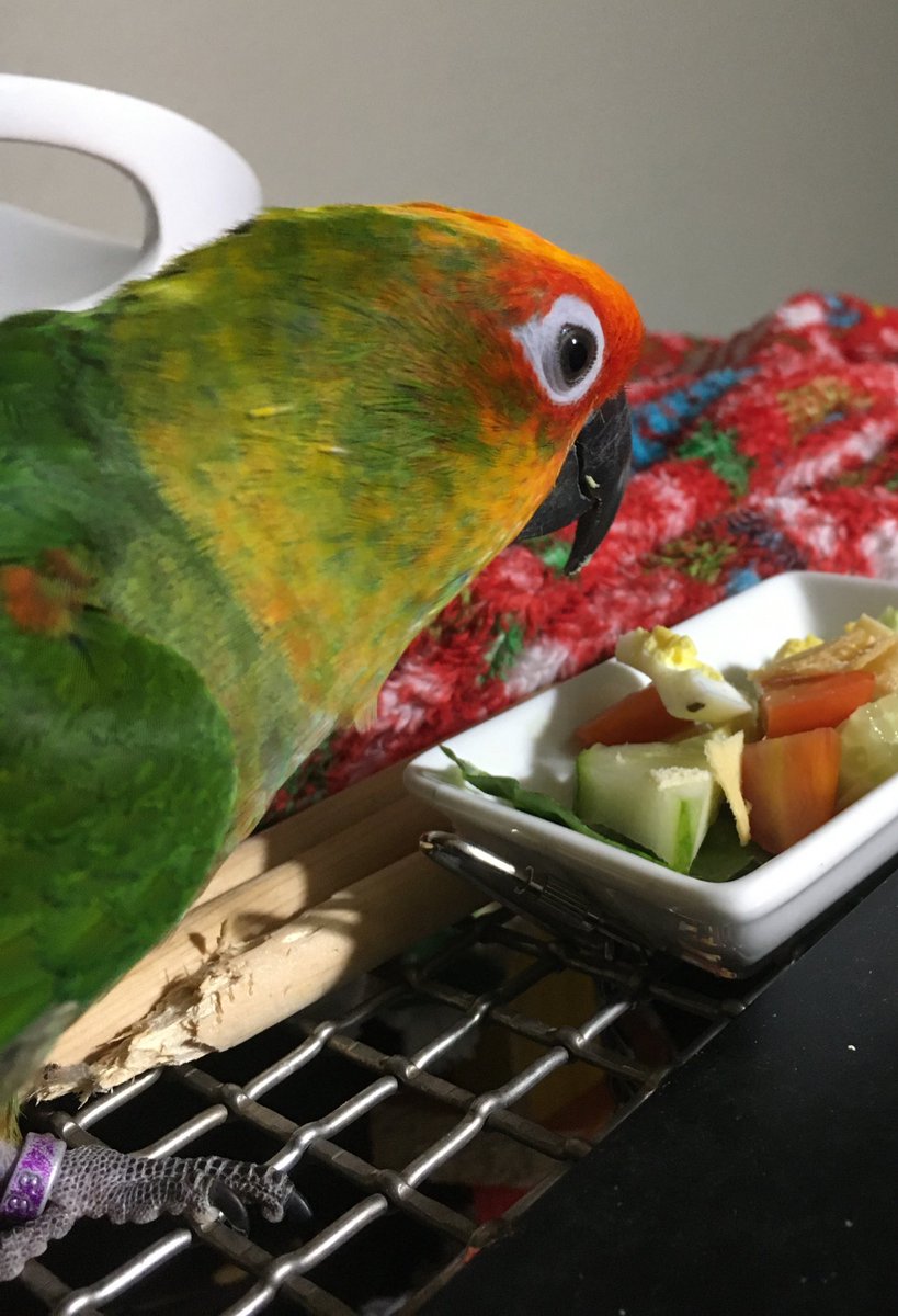 salad for me and salad for him