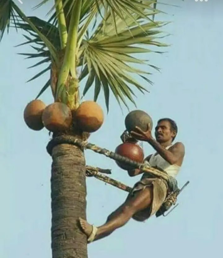 The entire human race survives on trust..