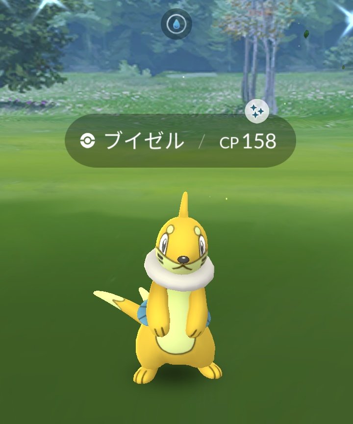 なんじゃっくん 花見 してたら色違いブイゼル出た ポケモンgo T Co N0dv1lpjjg Twitter