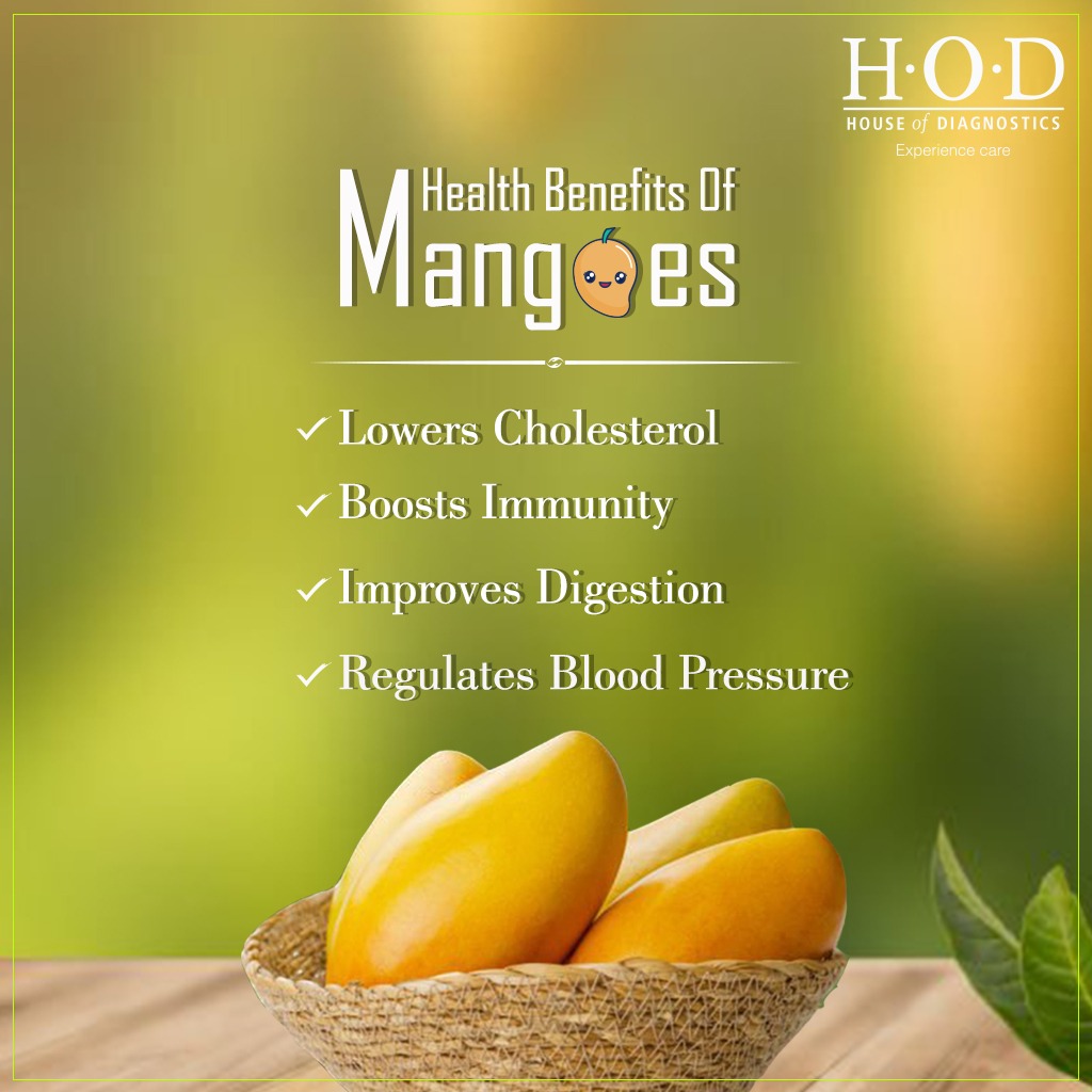 hodcare's tweet photo. Summer in India is synonymous with the mango season. Apart from being refreshing, juicy &delicious, mangoes also offer many health benefits. Here are some reasons to include this ‘King of Fruit’ in your summer diet.
#hod #benefitsofmango #mangohealthbenefits #mangoimmunitybooster https://t.co/bcxUZsYc7Q