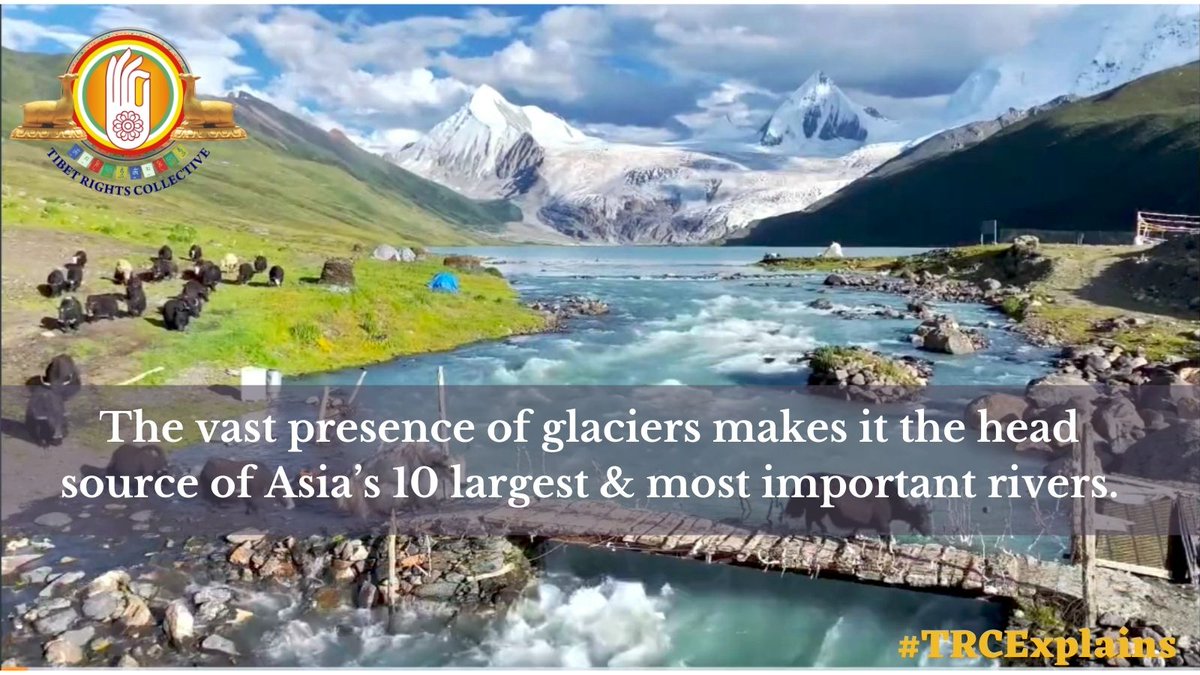 TibetCollective's tweet photo. Because of its abundance of glaciers, it is the headwaters of Asia's ten greatest & most important rivers, supplying 1.8 billion people in south & southeast Asia.
#SaveTibetEnvironment @nawangofficial @ngochechimee @michaeljohns @TibetCouncil @thiwangs @third_pole @TibetThirdPole https://t.co/LUcuiCjakB