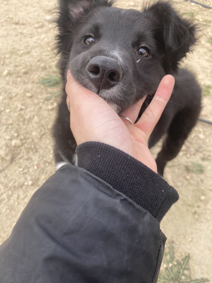 Mira que cosita 🥺😍