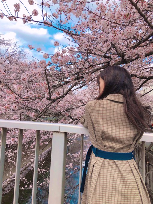 Twitterのコスプレ画像4