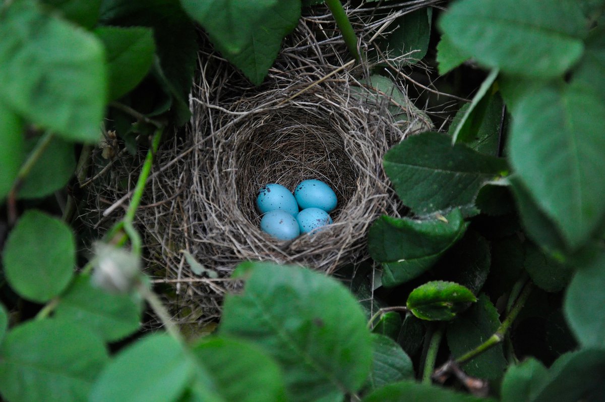 StacksLawFirm's tweet photo. #SeparatingCouples who are going through a #PropertySettlement will no longer be able to hide #superannuation assets. From April, parties will be able to apply to the Family Court for information on their ex’s super.
https://t.co/mtZkJLwUjG https://t.co/tXsPLUy80Z