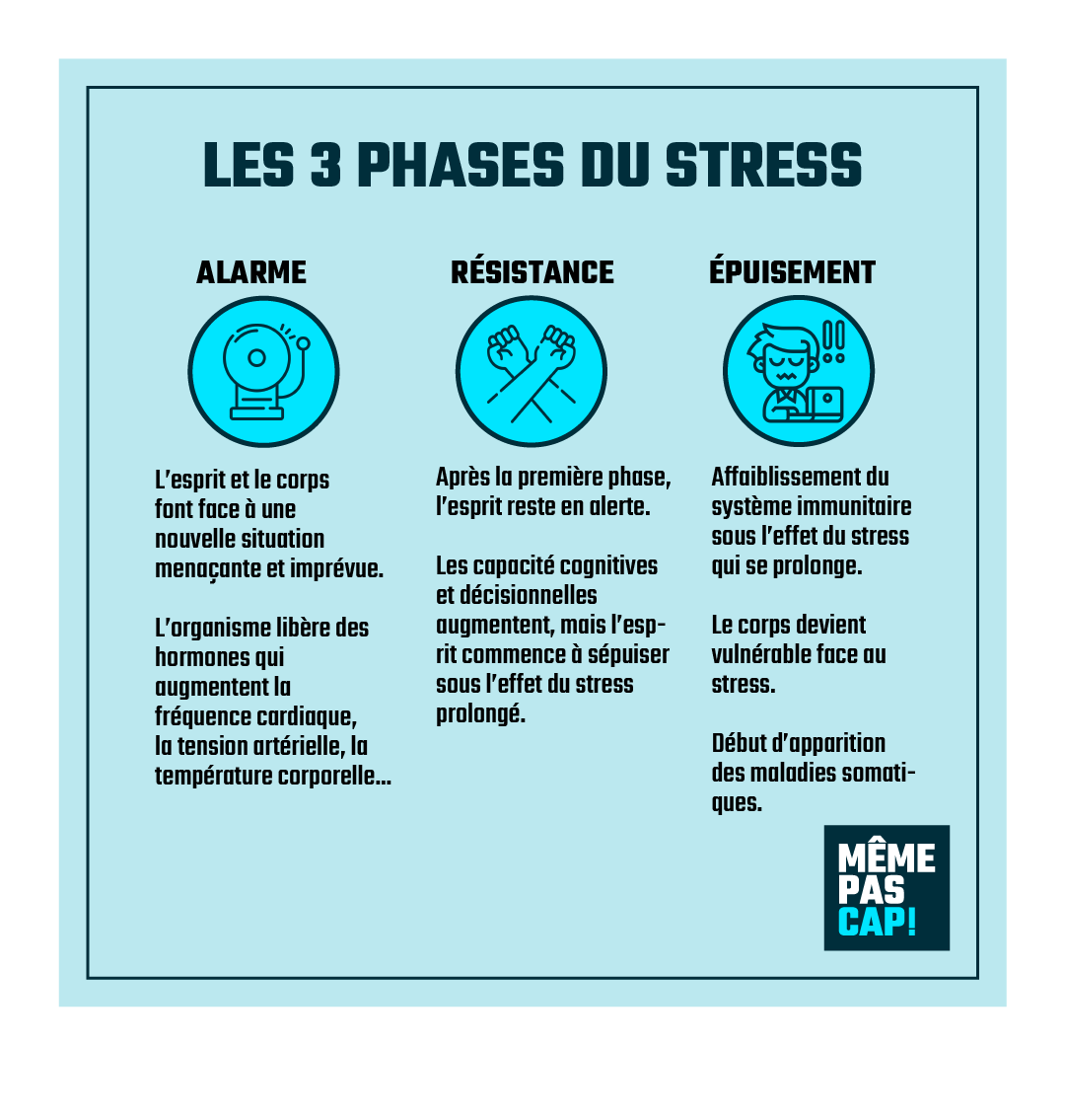 Même Pas Cap! tweet media