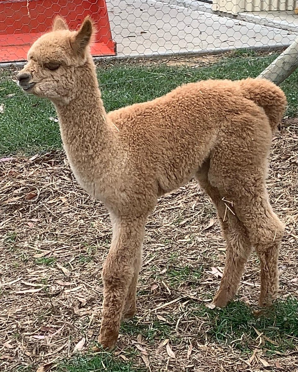 Deb Hein tweet media