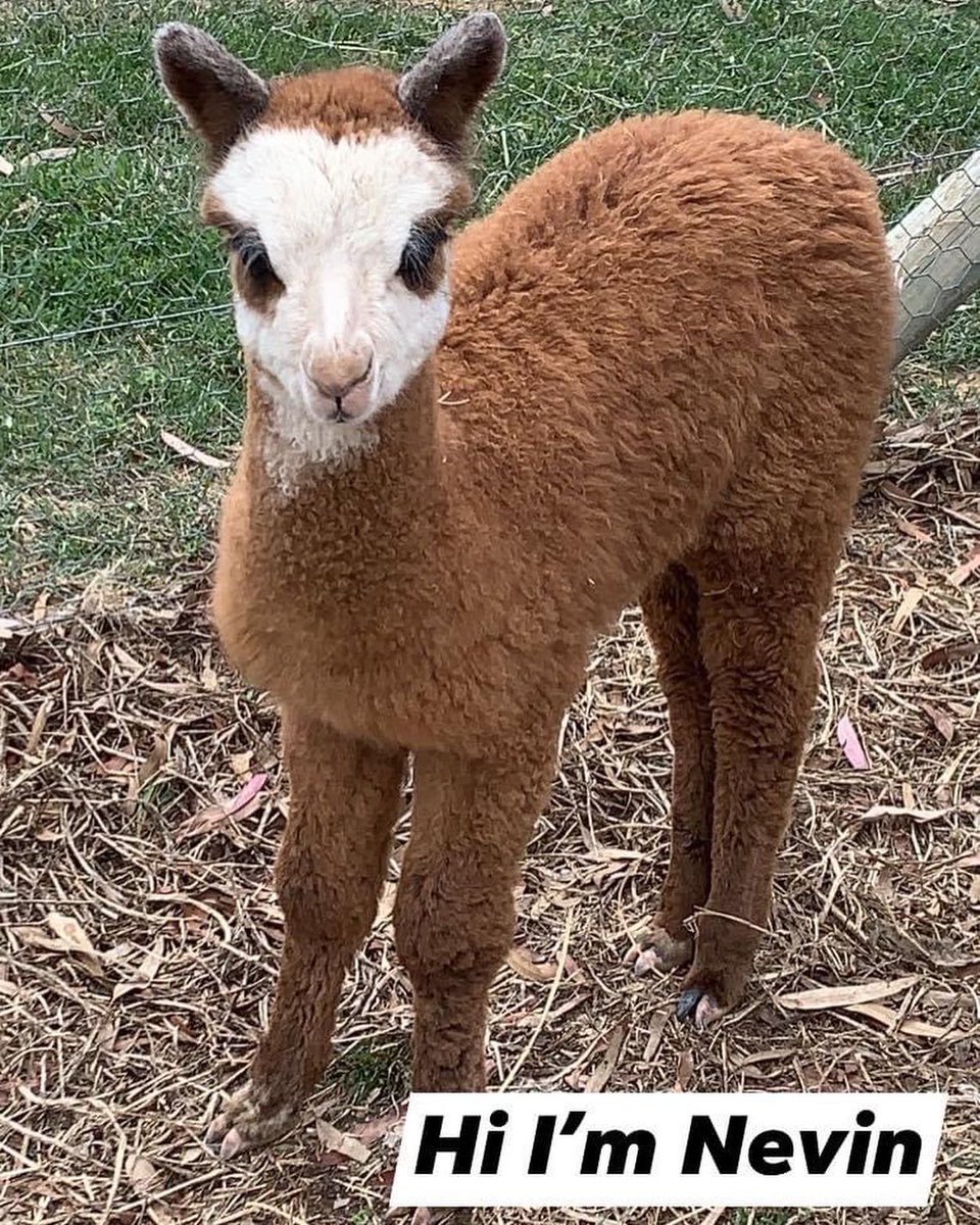 Deb Hein tweet media