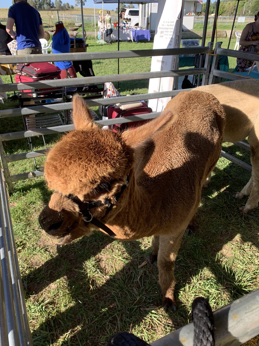 Deb Hein tweet media