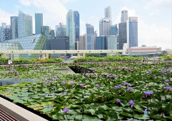 TravelGumbo's tweet photo. #TravelGumbo #FeaturedBlog by #BarryBarford #ttot
#Singapore #AsianPowerhouse #AmazingEnergy #AmazingSights
TravelGumbo
By Travelers, for Travelers
https://t.co/SE5vb6Smex https://t.co/AopnqH0GOr