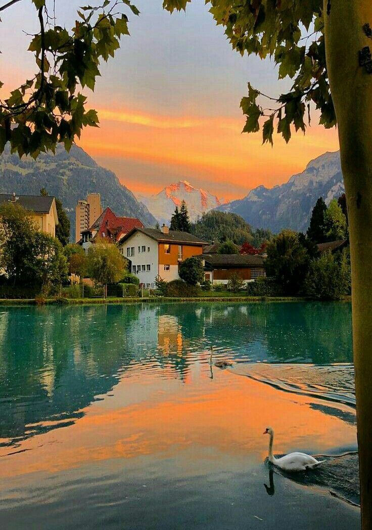 Good morning , have a nice day 💗🔅💢🌼🌼💗👍🌺
