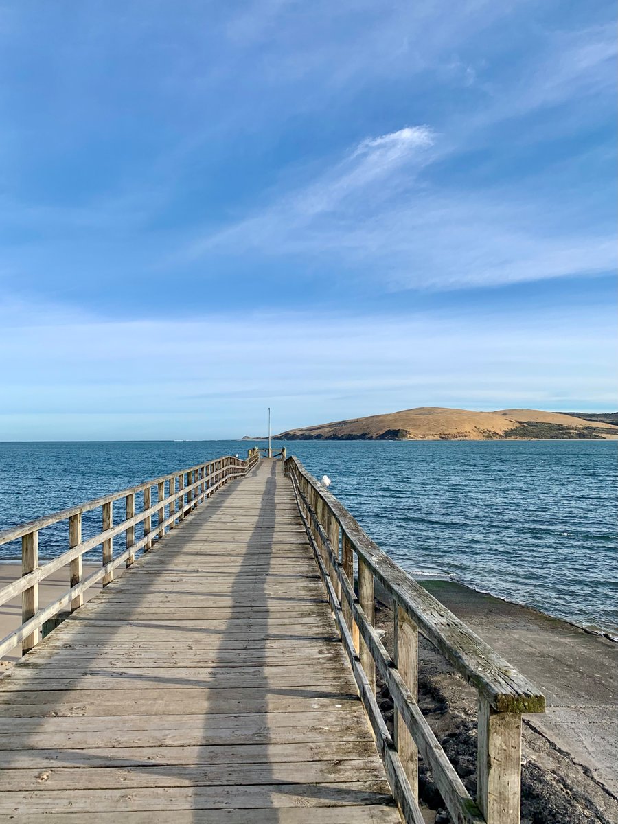 New Zealand 🇳🇿 tweet media